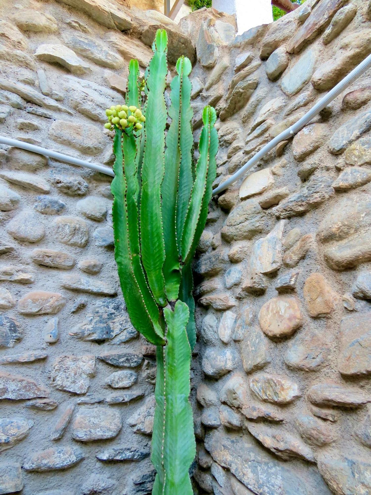 El Encanto Monachil Kültér fotó